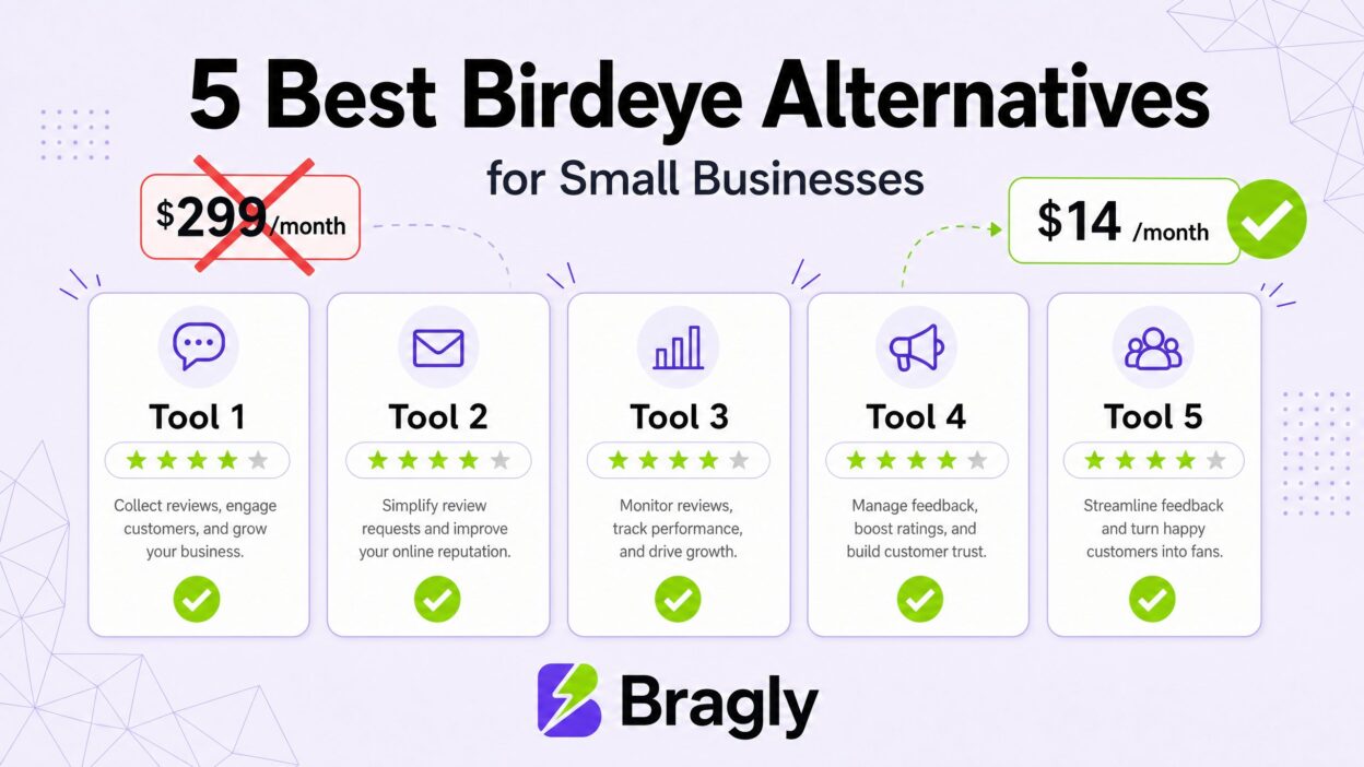 5 Best Birdeye Alternatives for Small Businesses - comparison chart showing pricing and features