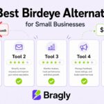 5 Best Birdeye Alternatives for Small Businesses - comparison chart showing pricing and features