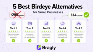 5 Best Birdeye Alternatives for Small Businesses - comparison chart showing pricing and features