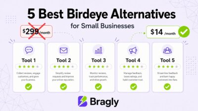 5 Best Birdeye Alternatives for Small Businesses - comparison chart showing pricing and features