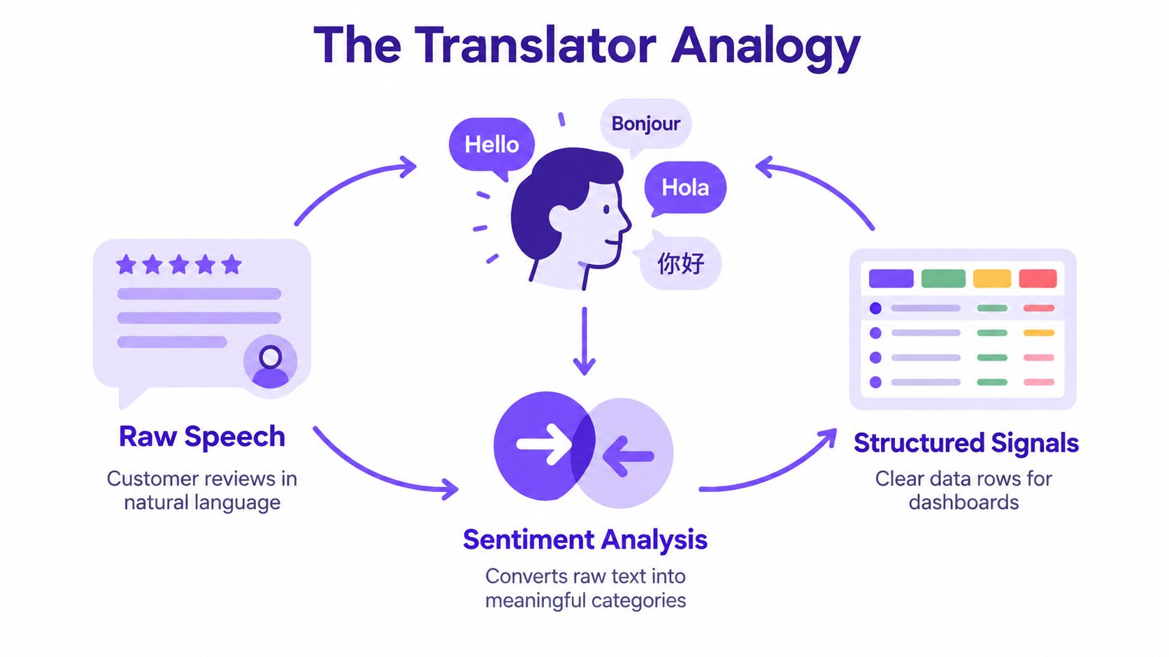An infographic titled The Translator Analogy showing sentiment analysis converting customer review text into structured data.